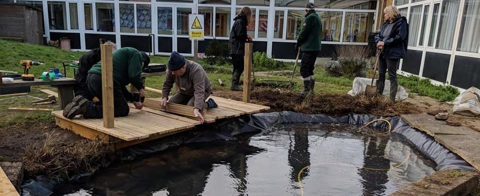 Photo of volunteers working on pond and dipping platform