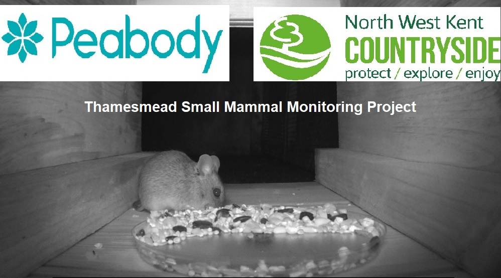 Thamesmead Small Mammal Monitoring Project